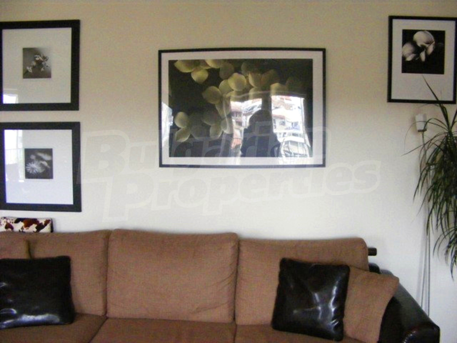 Gallery Picture 8