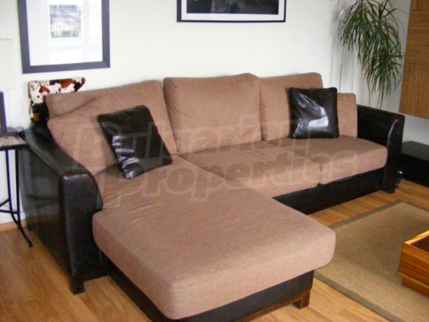 Gallery Picture 7