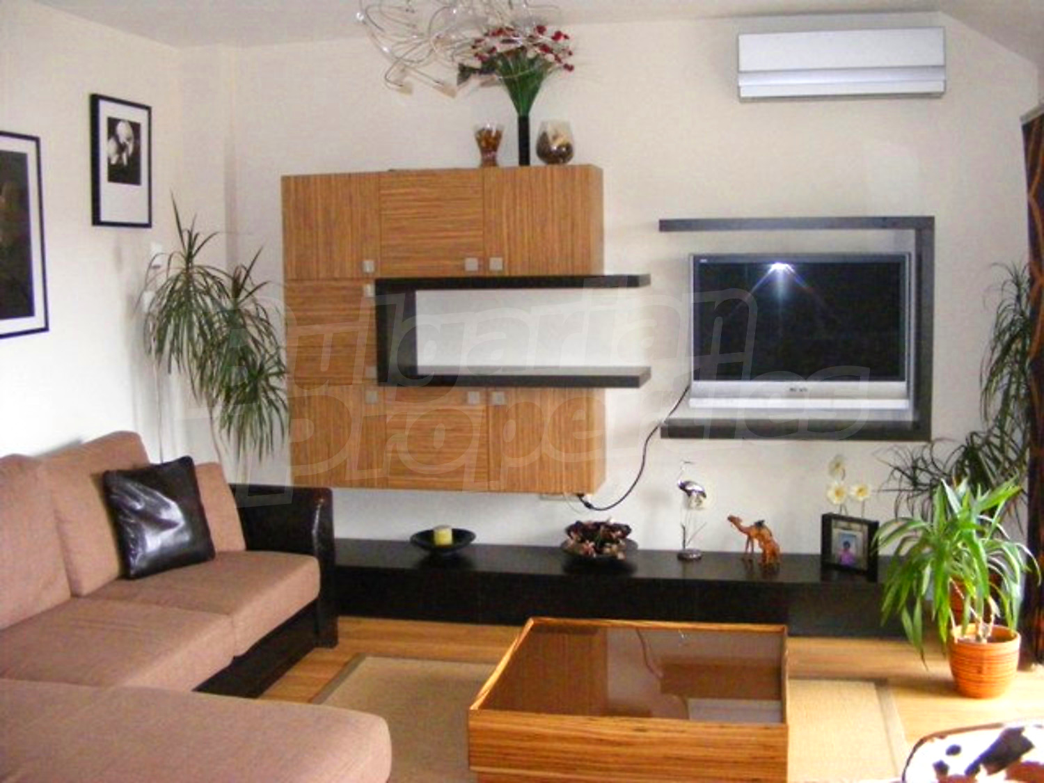 Gallery Picture 6