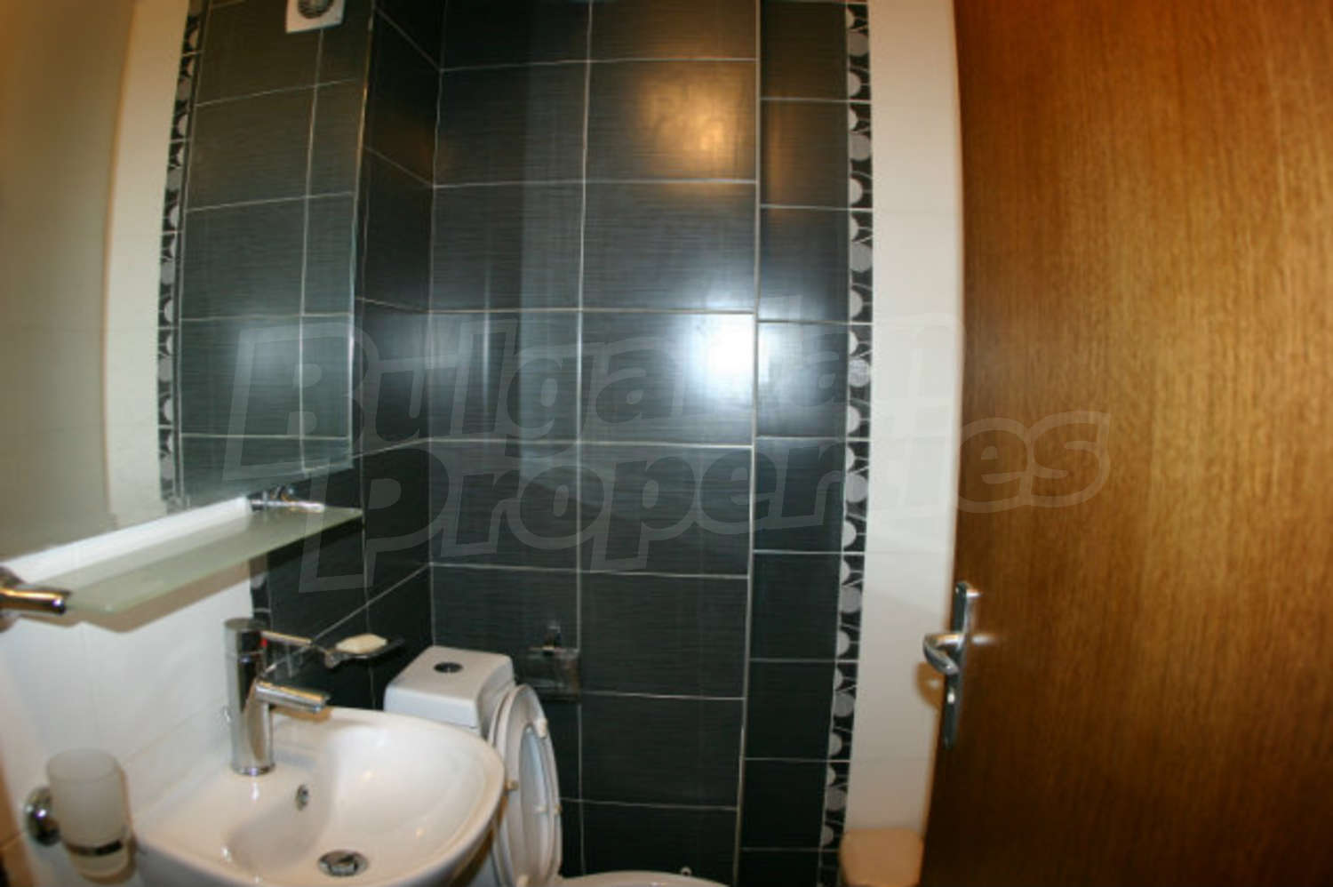 Gallery Picture 10