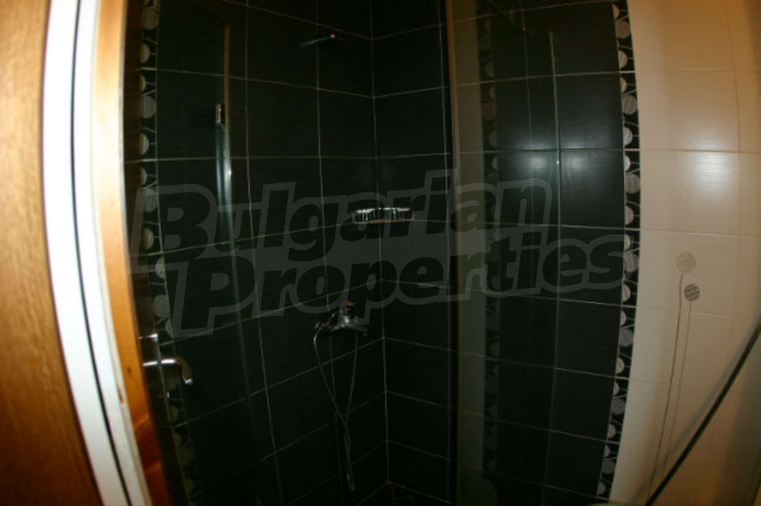 Gallery Picture 11
