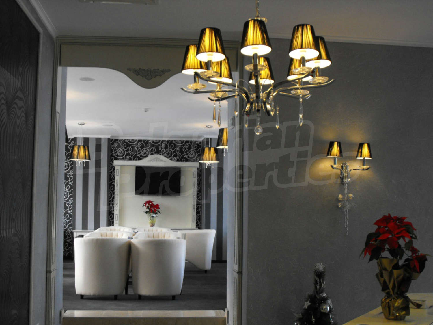 Gallery Picture 29