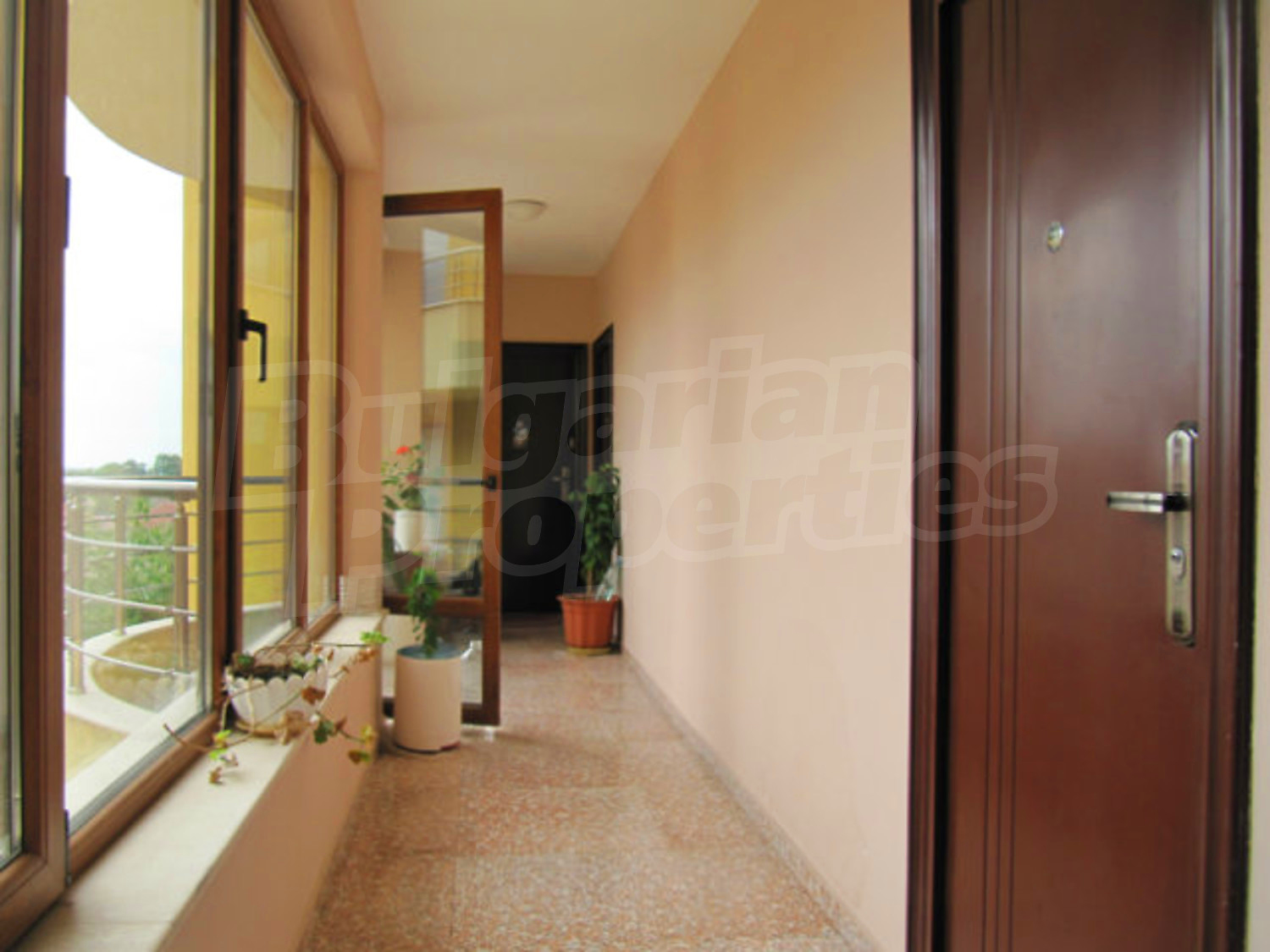 Gallery Picture 15