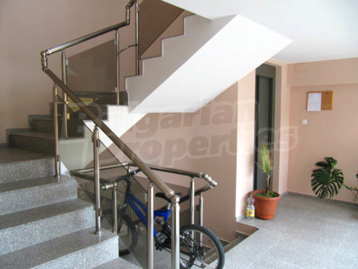 Gallery Picture 16