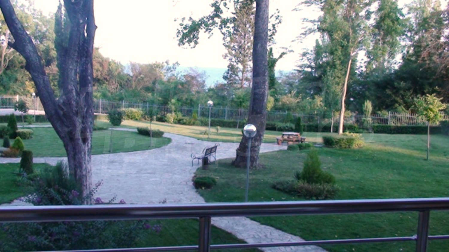Gallery Picture 19