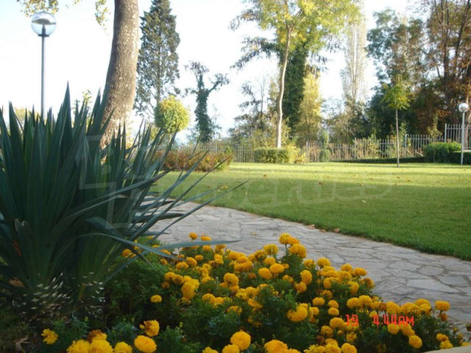 Gallery Picture 3