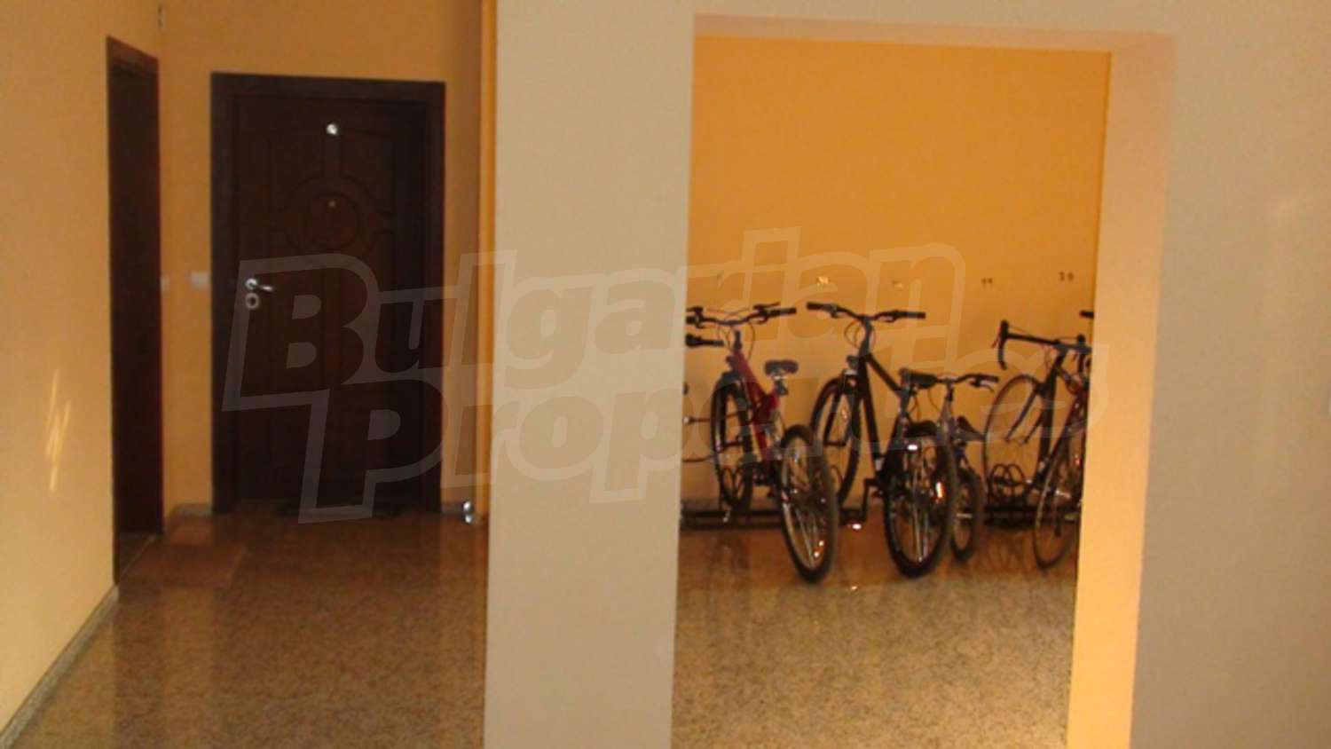 Gallery Picture 7