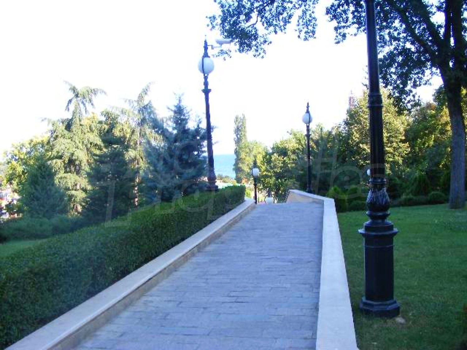 Gallery Picture 19
