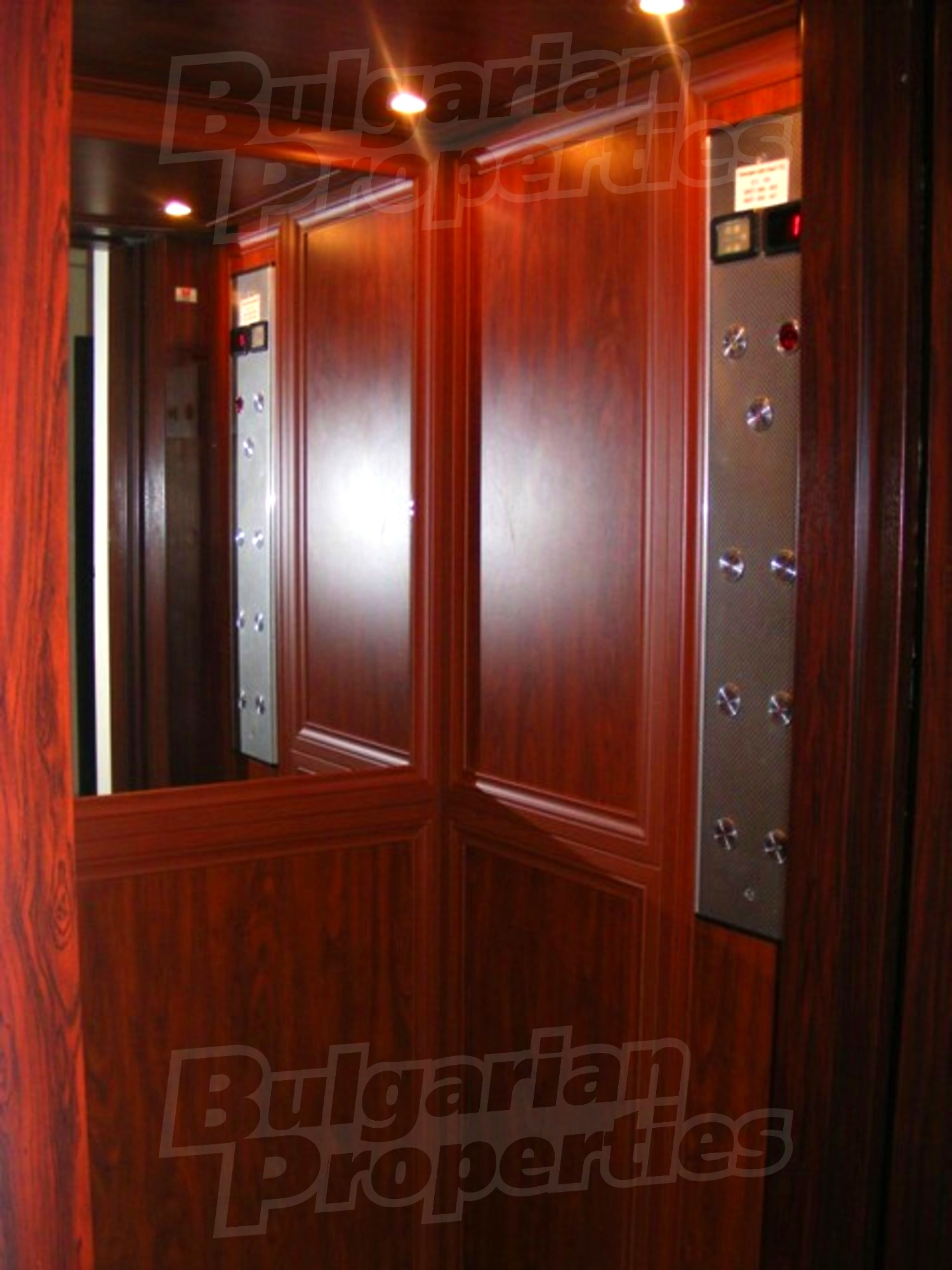 Gallery Picture 19