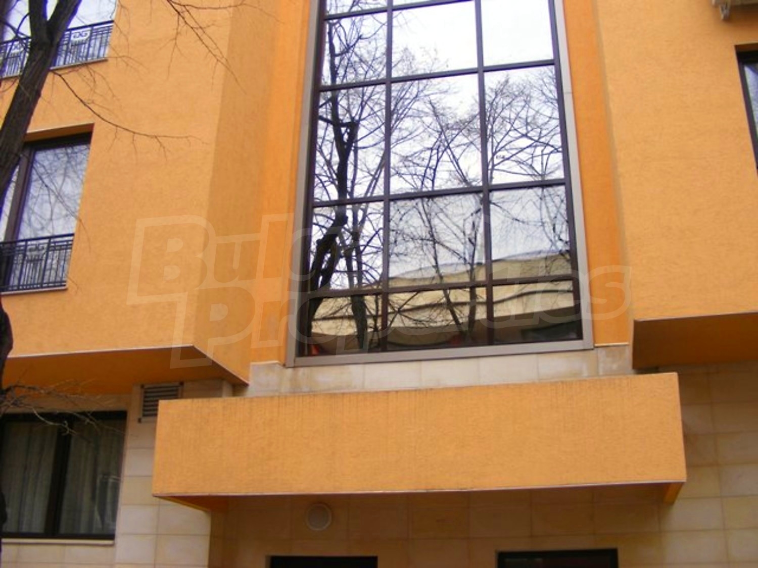 Gallery Picture 21