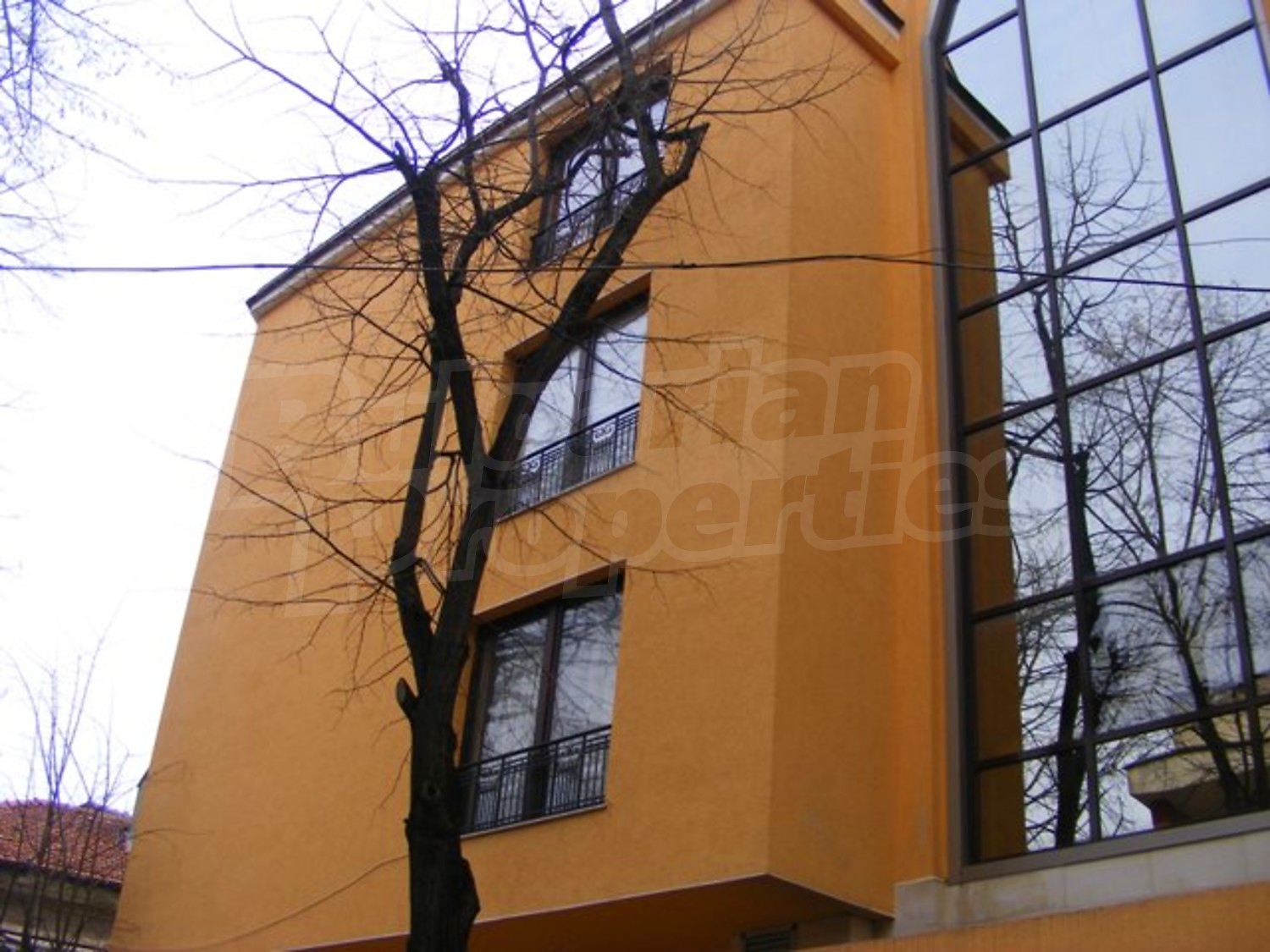 Gallery Picture 22