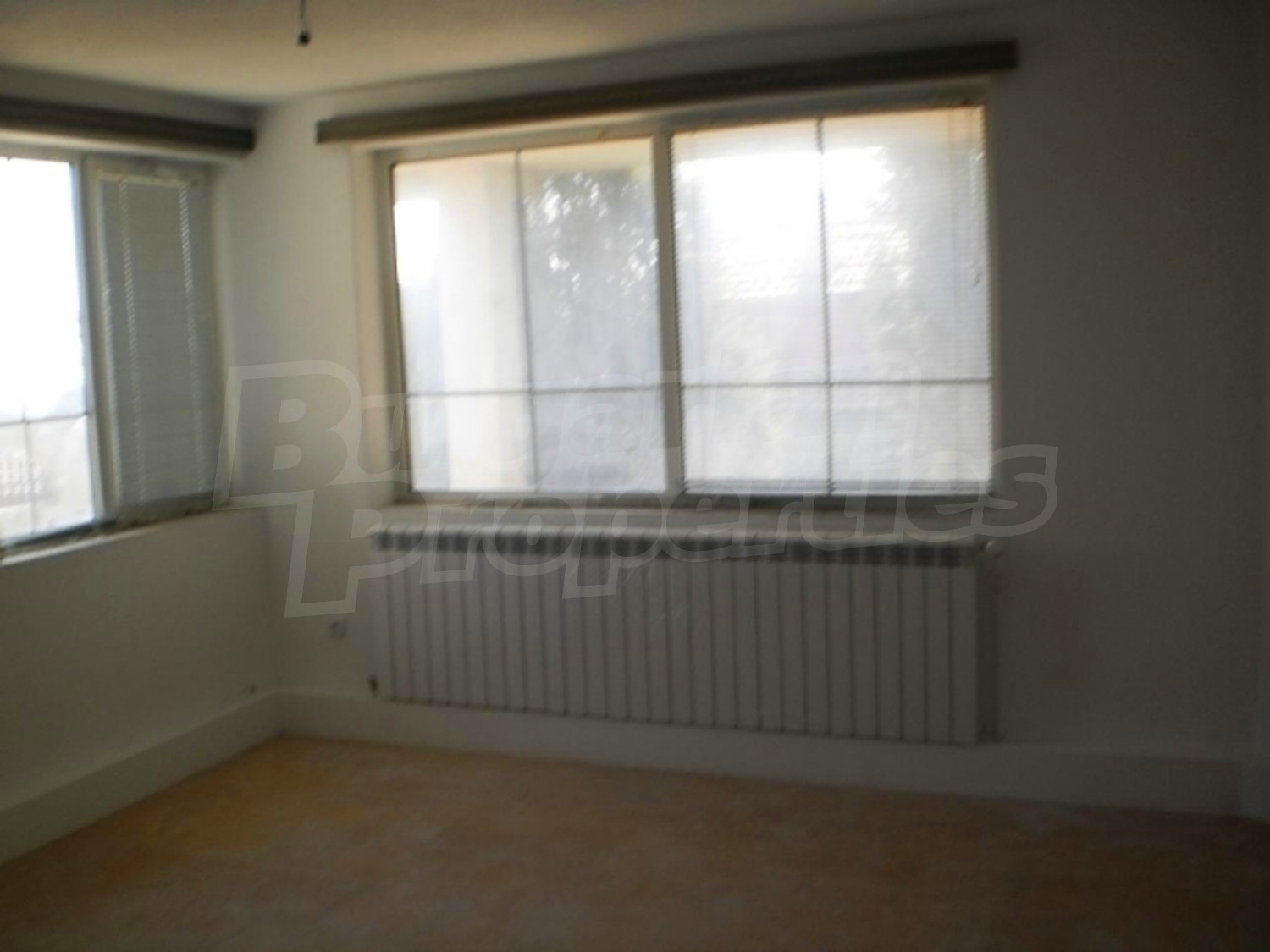Gallery Picture 13