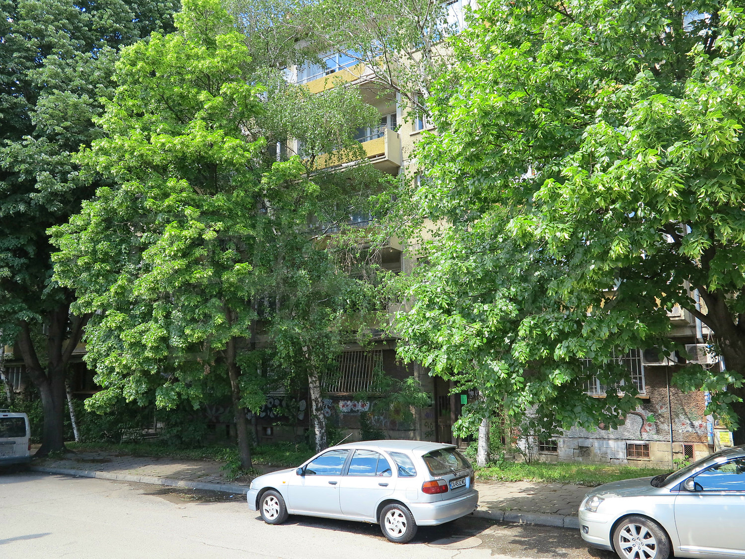 Gallery Picture 15