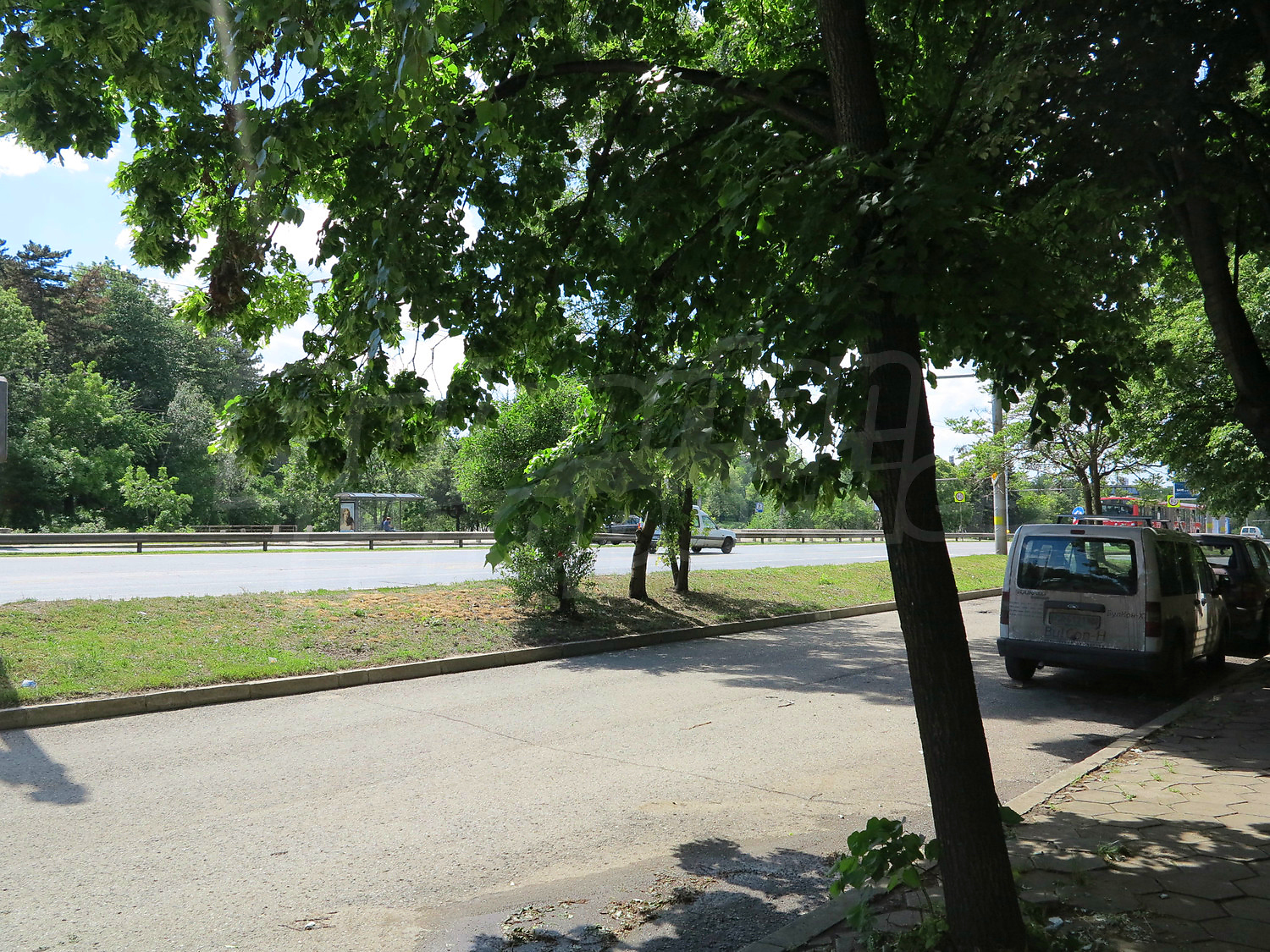 Gallery Picture 16