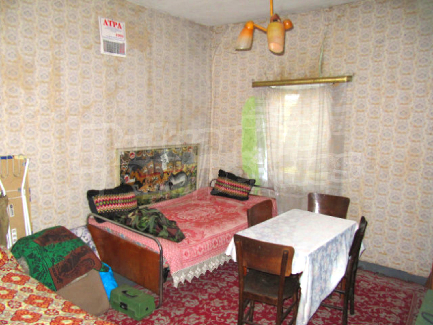 Gallery Picture 14