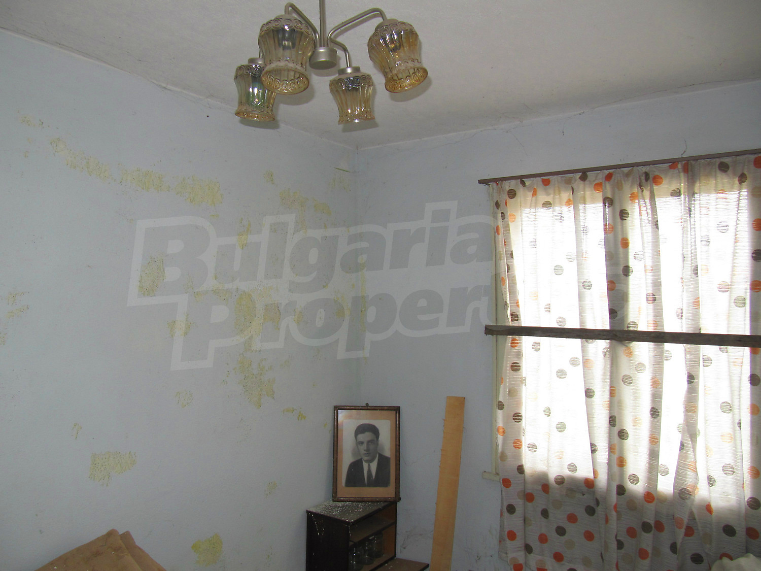 Gallery Picture 12