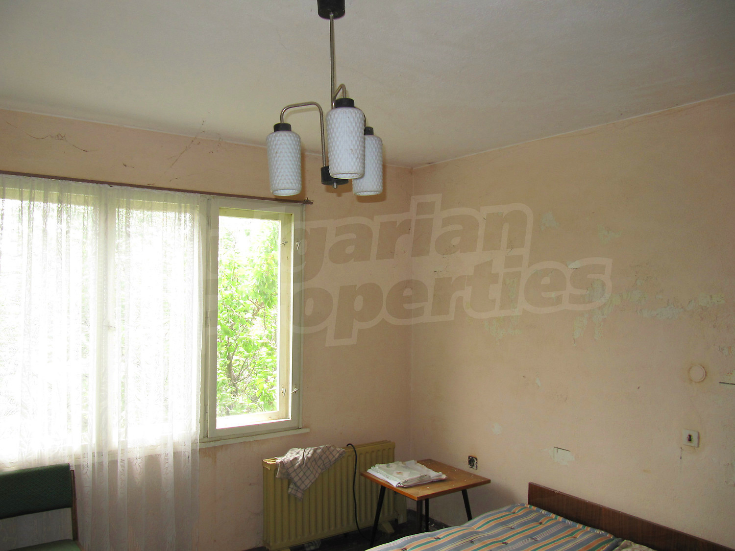 Gallery Picture 13
