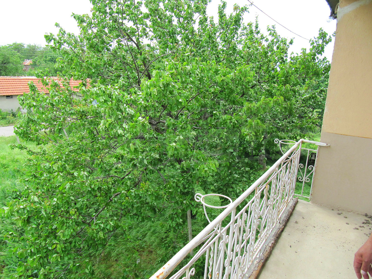 Gallery Picture 16