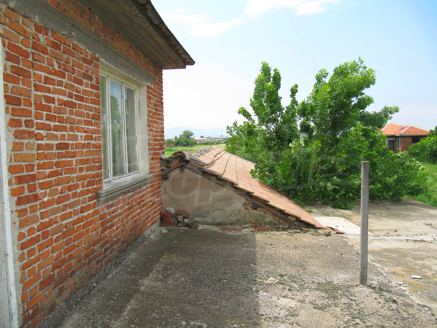 Gallery Picture 17