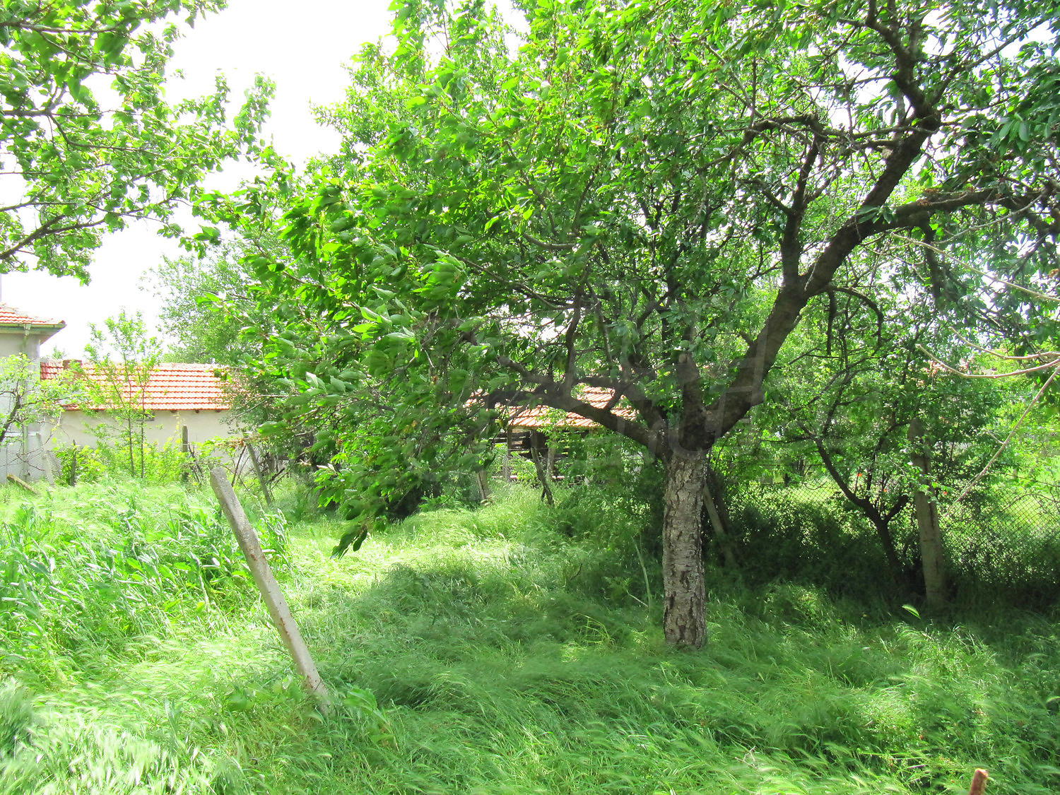 Gallery Picture 24