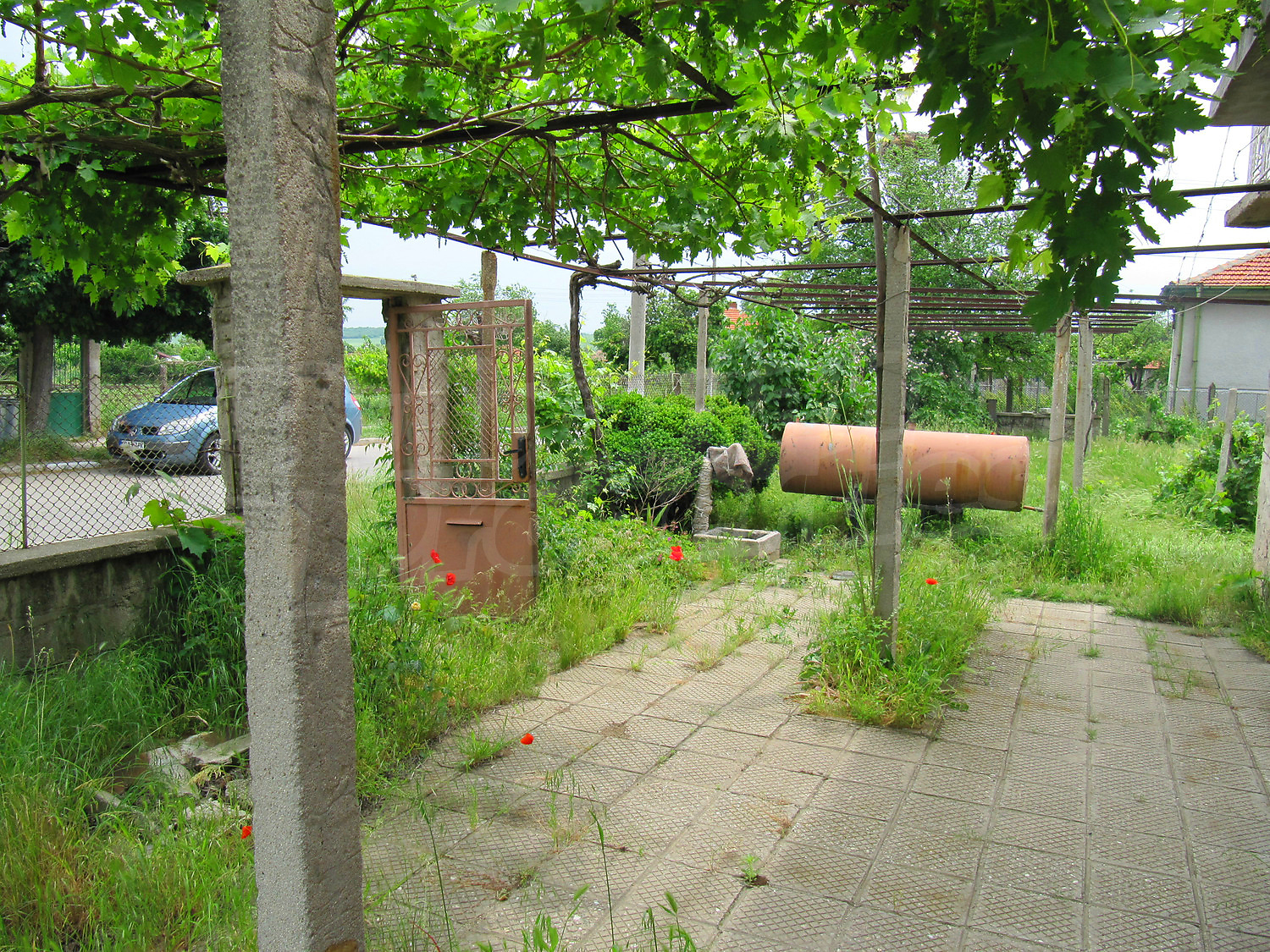 Gallery Picture 38