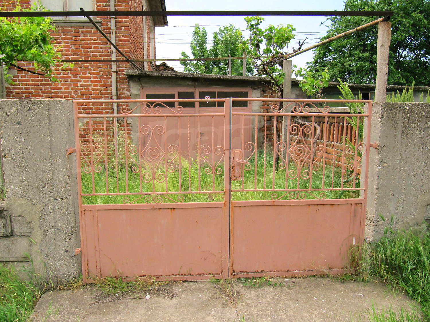 Gallery Picture 41