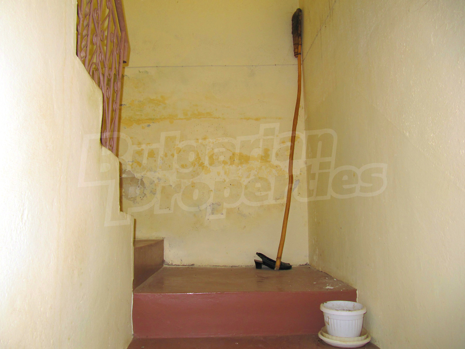 Gallery Picture 8