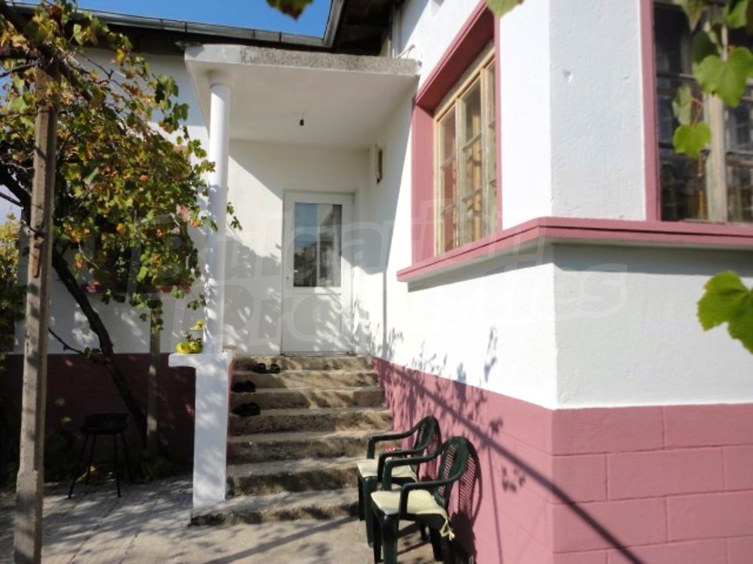 Gallery Picture 10