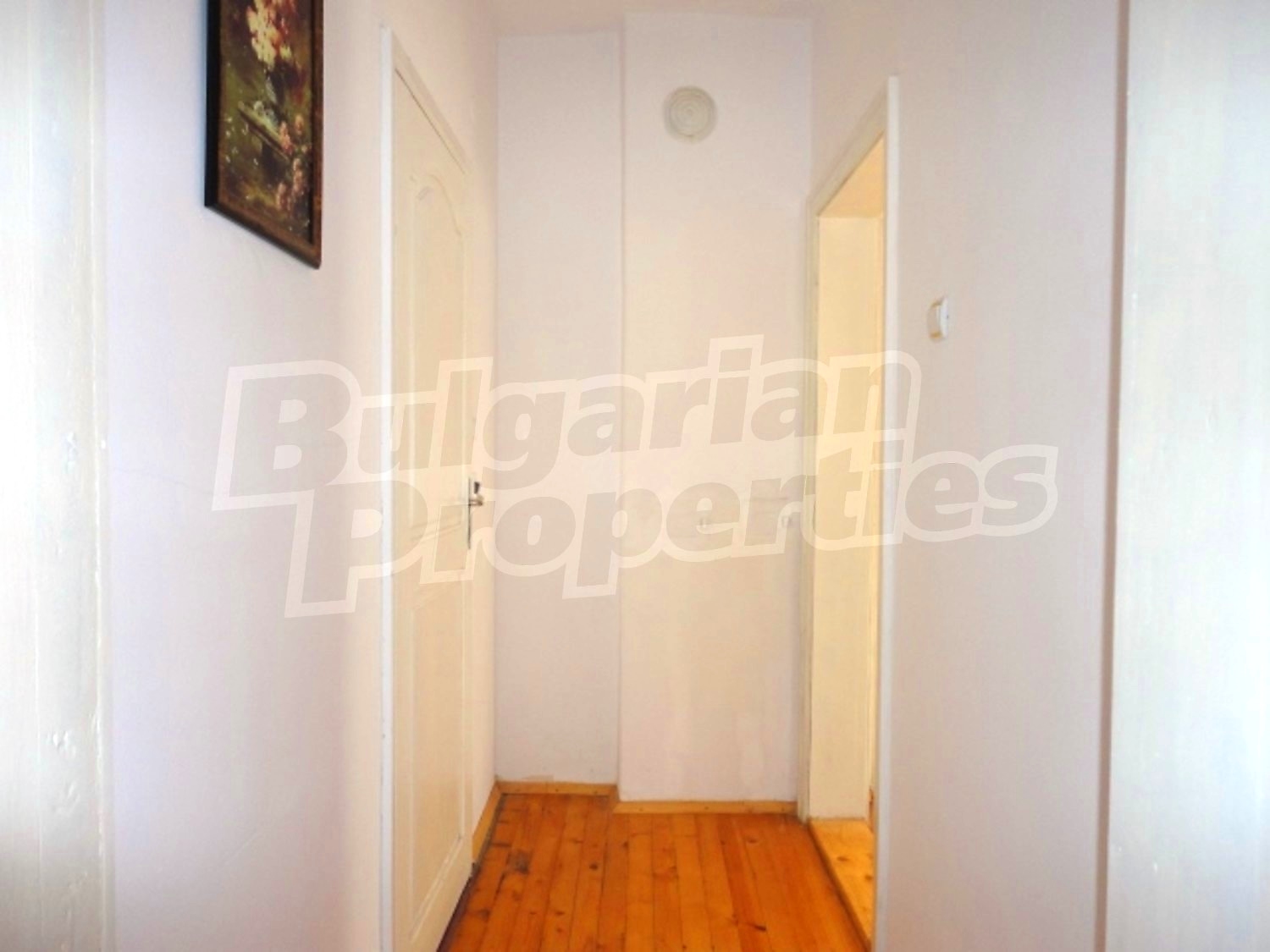 Gallery Picture 29