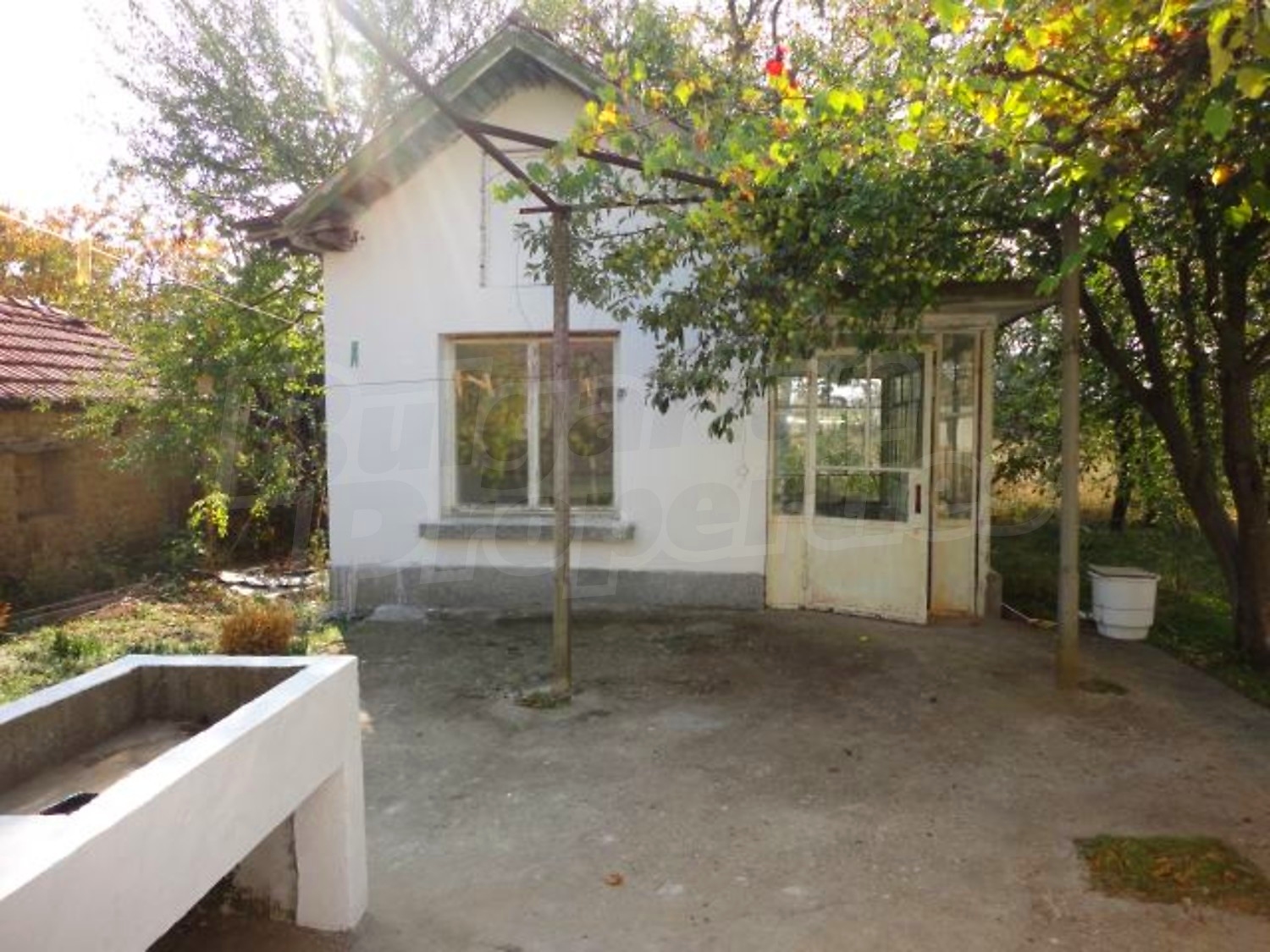 Gallery Picture 36
