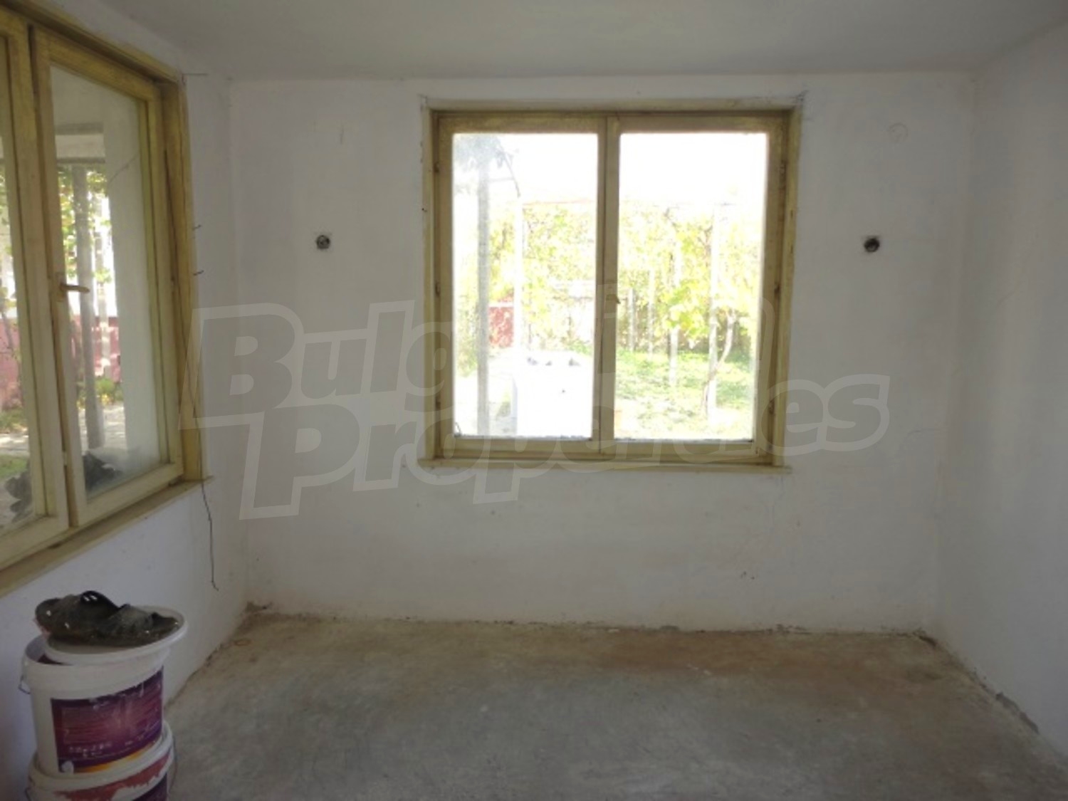 Gallery Picture 38