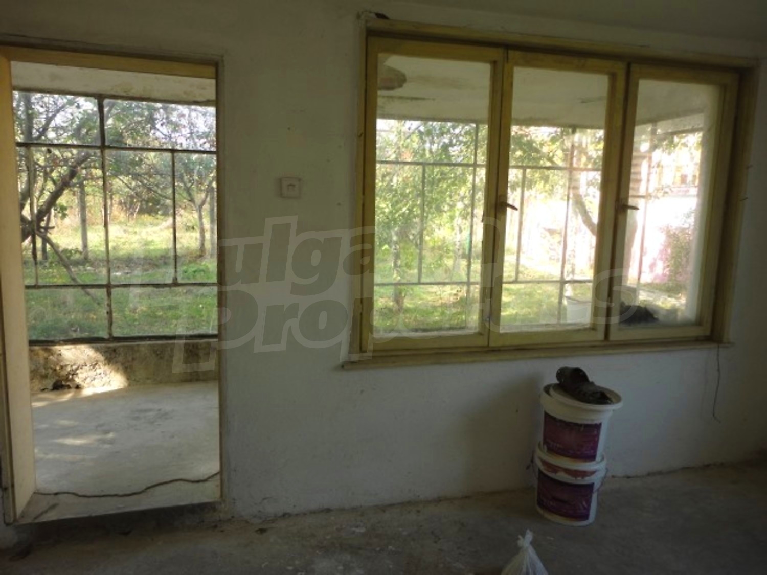 Gallery Picture 39
