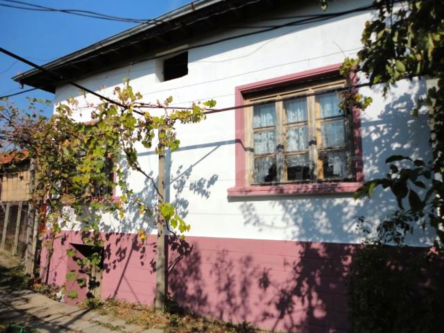 Gallery Picture 4