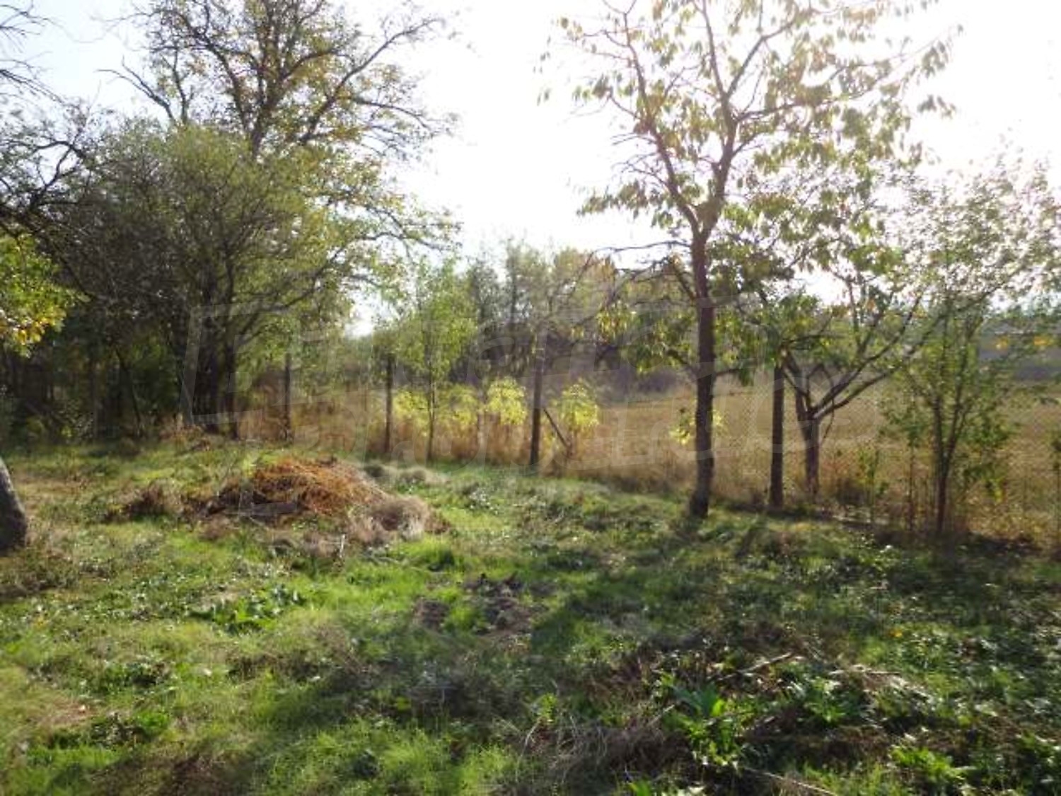 Gallery Picture 48