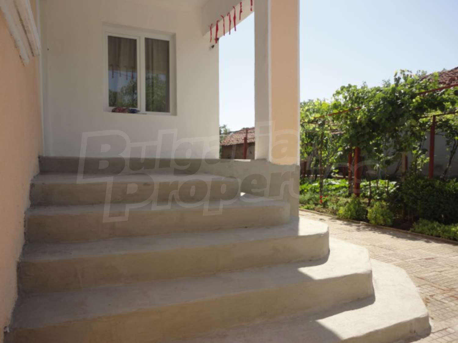 Gallery Picture 5