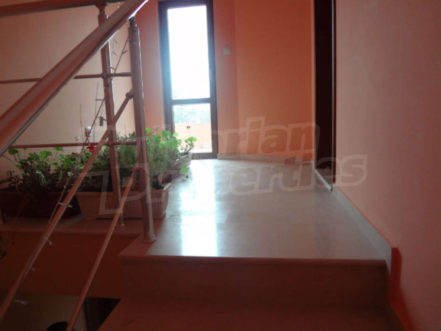 Gallery Picture 19