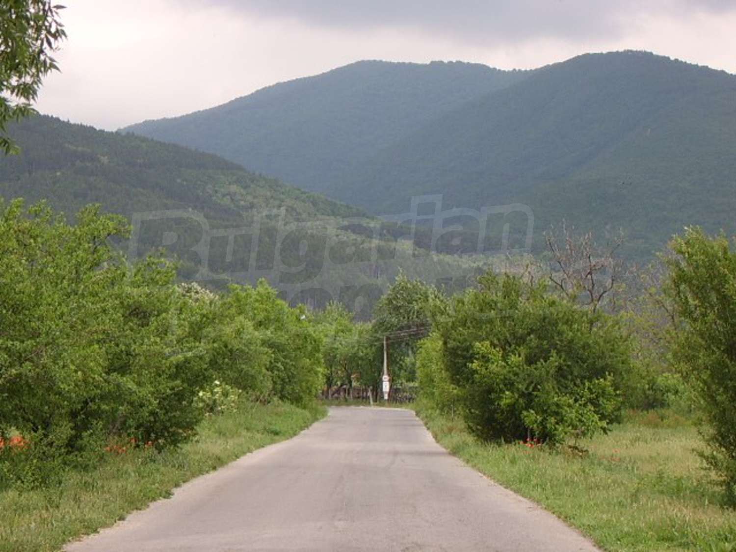 Gallery Picture 26