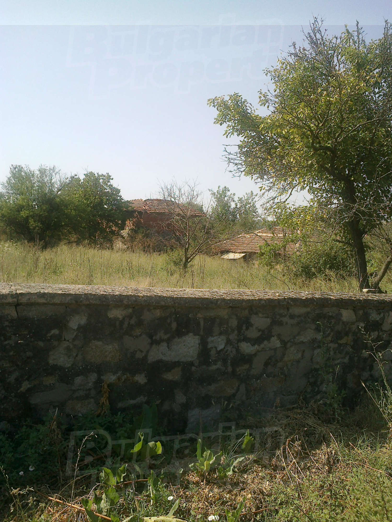 Gallery Picture 34