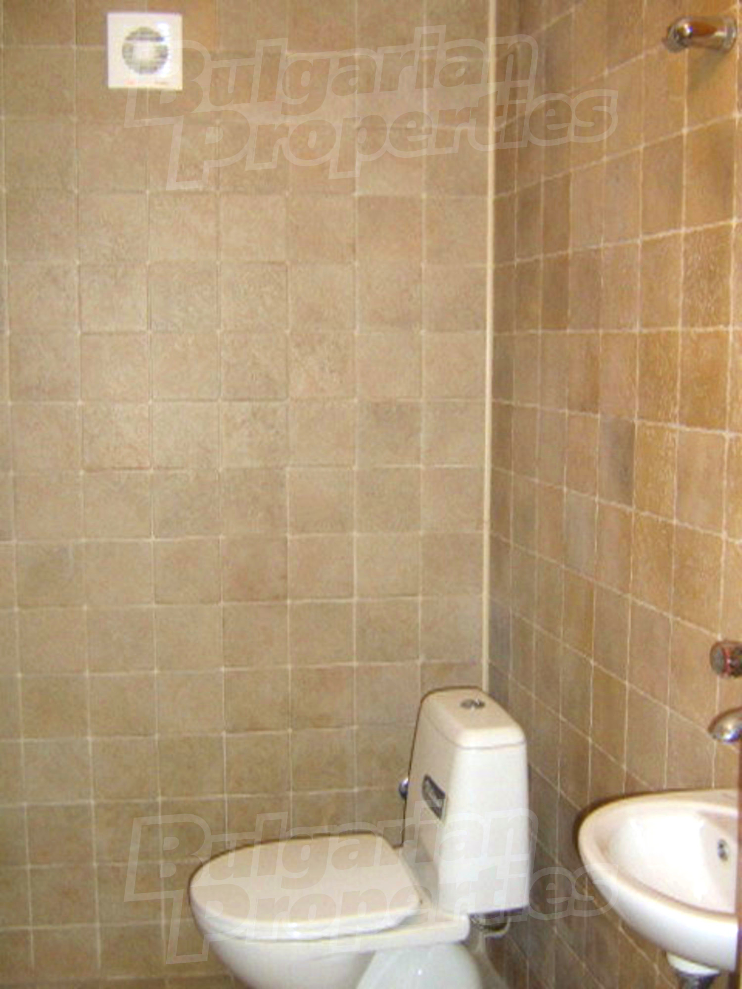 Gallery Picture 11