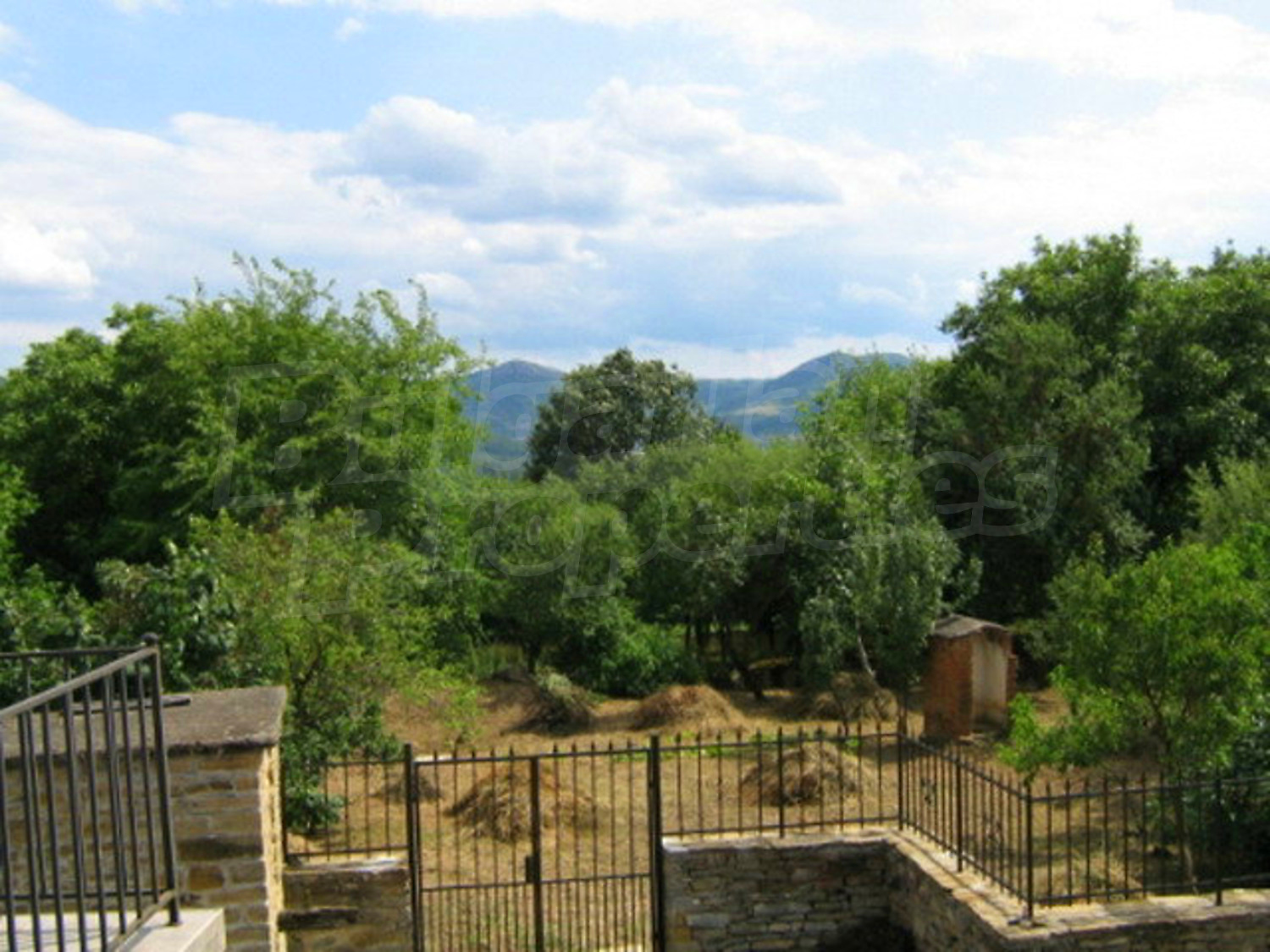 Gallery Picture 12