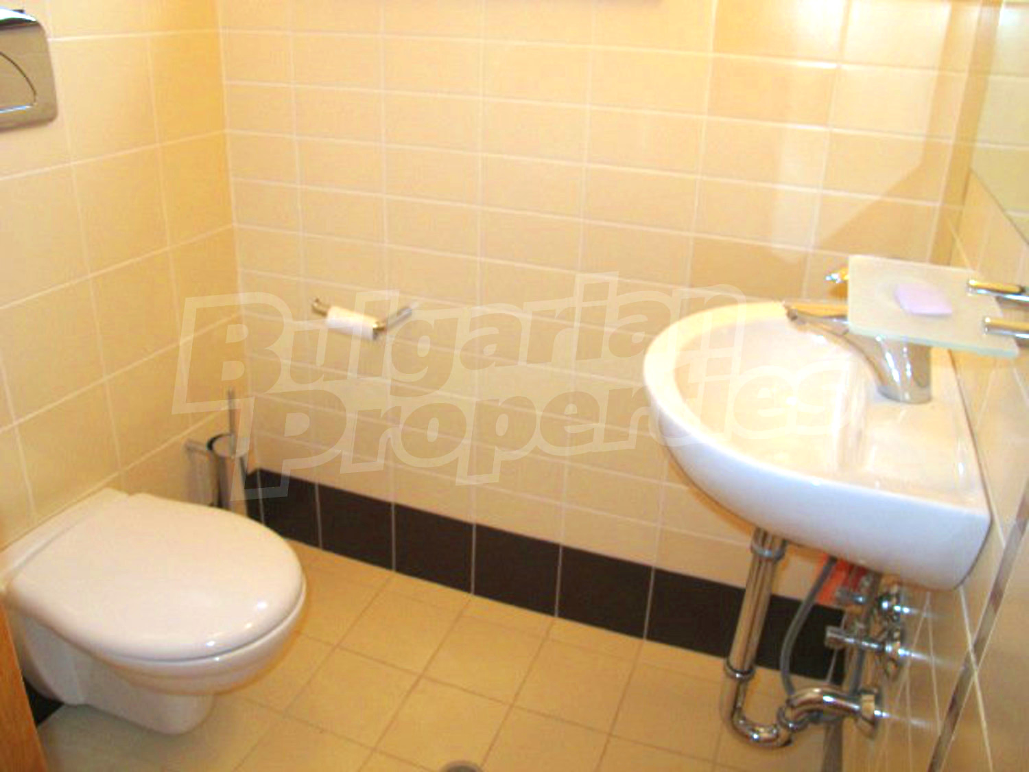 Gallery Picture 25