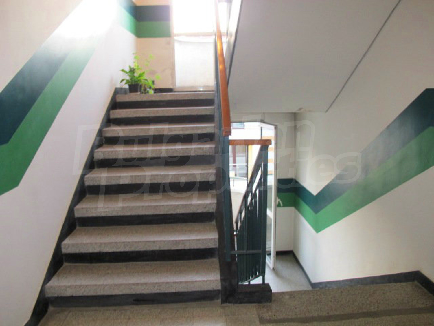 Gallery Picture 39