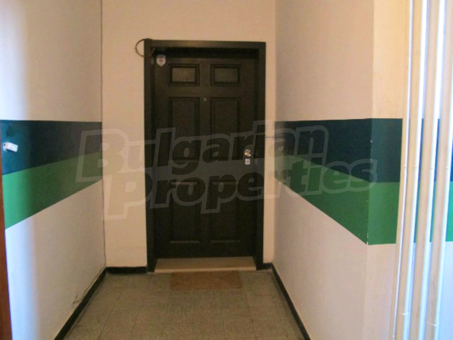 Gallery Picture 41