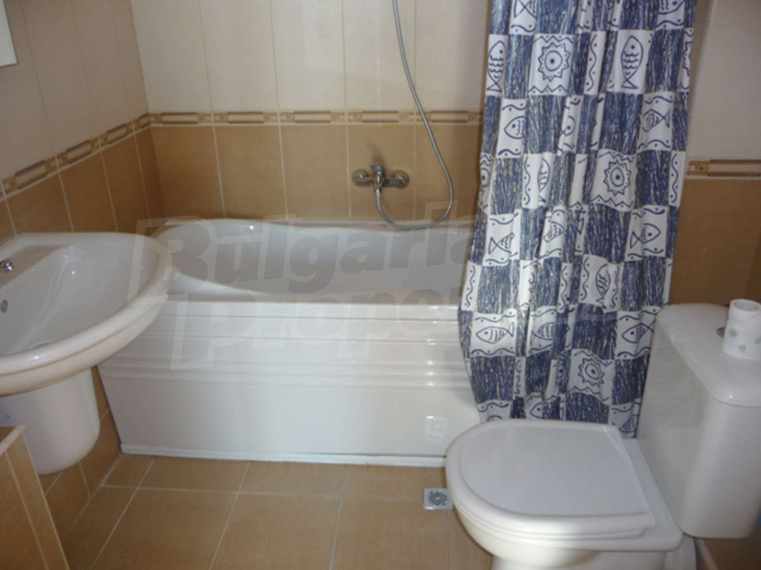 Gallery Picture 10