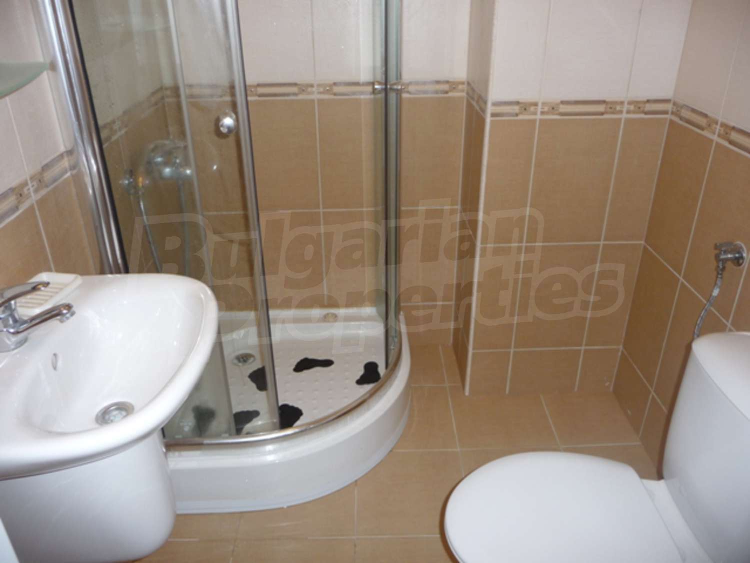 Gallery Picture 16