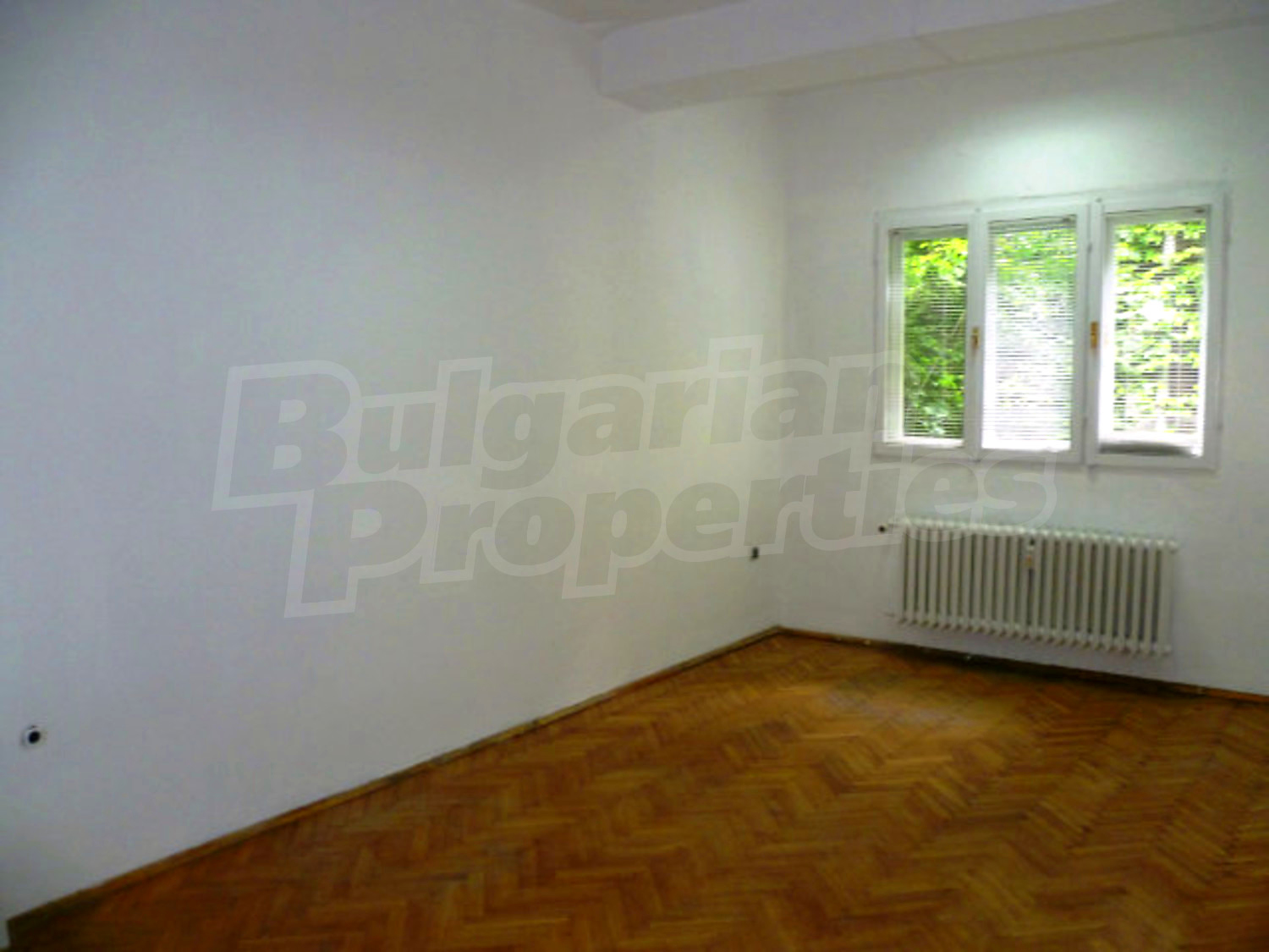 Gallery Picture 2