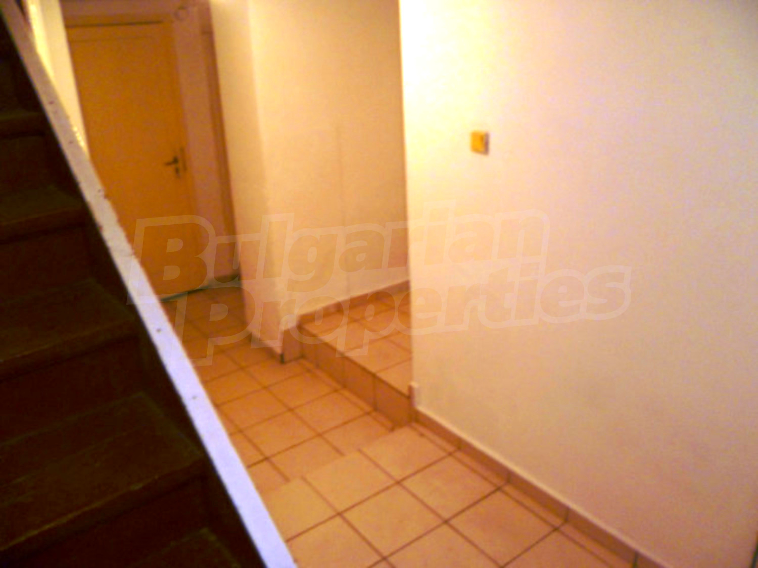 Gallery Picture 5