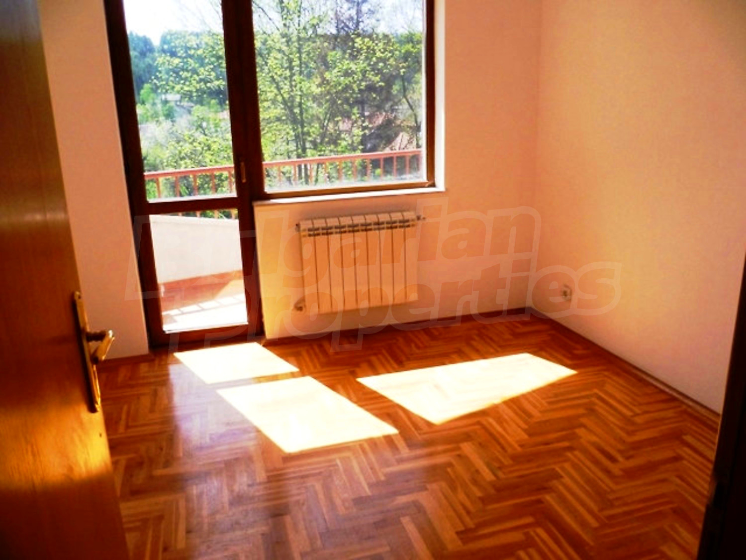 Gallery Picture 10