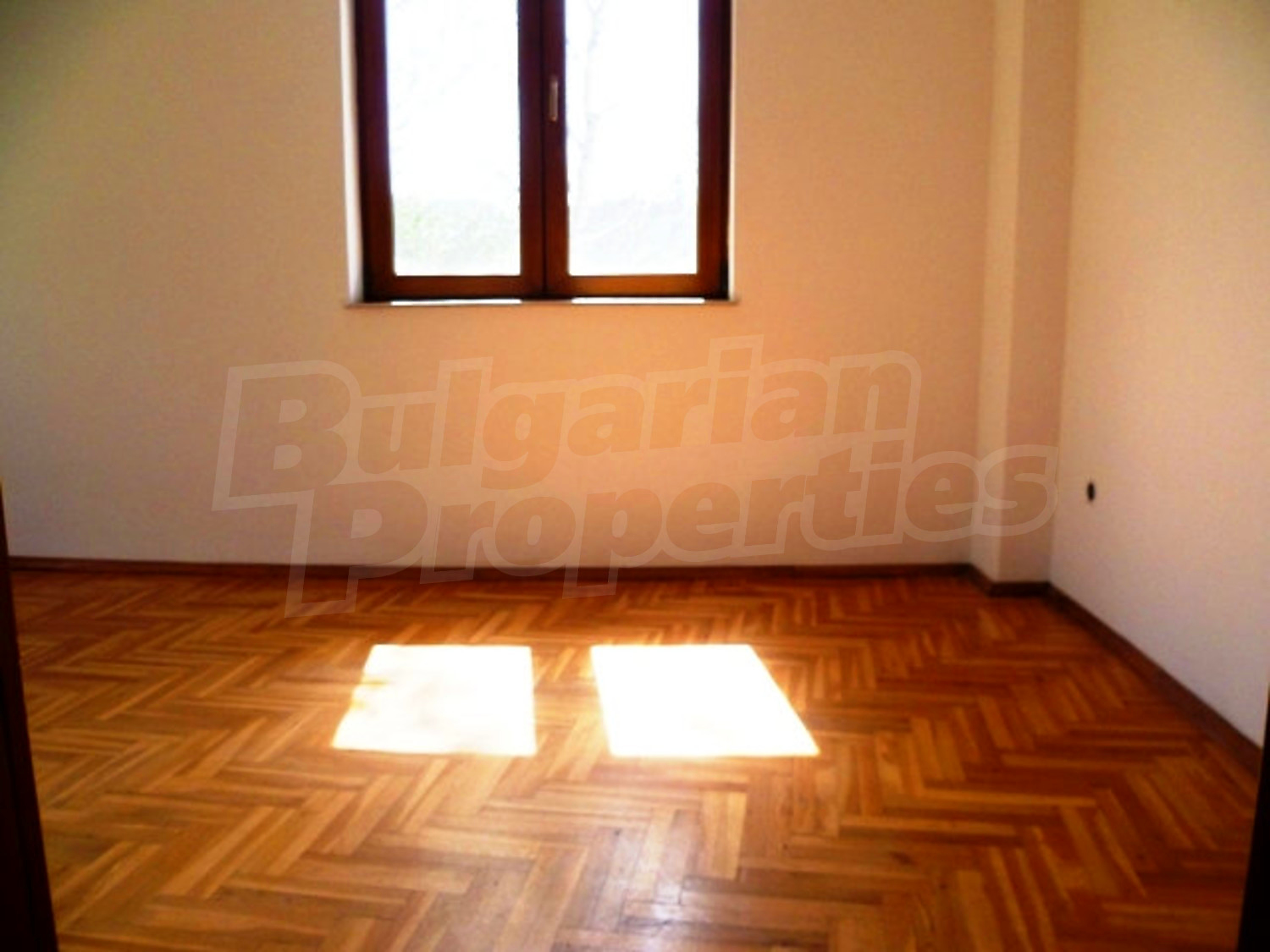 Gallery Picture 13