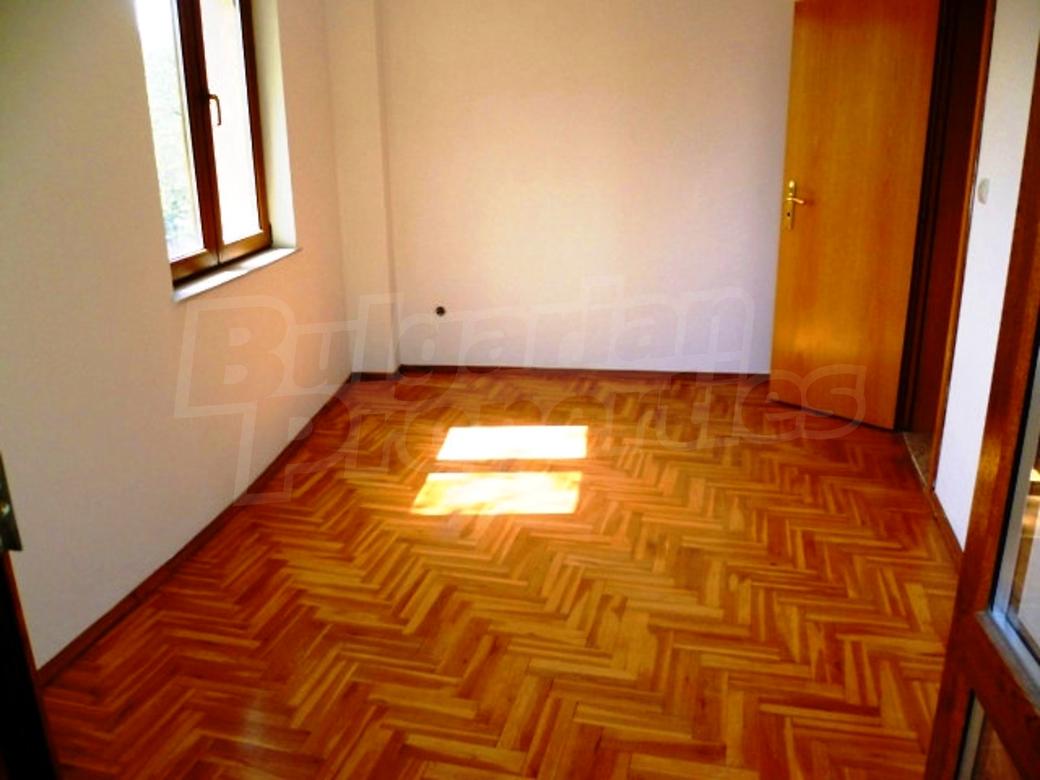 Gallery Picture 14